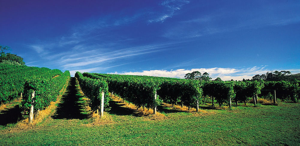 Vineyard Cottages - Kumeu Waimauku Zewnętrze zdjęcie