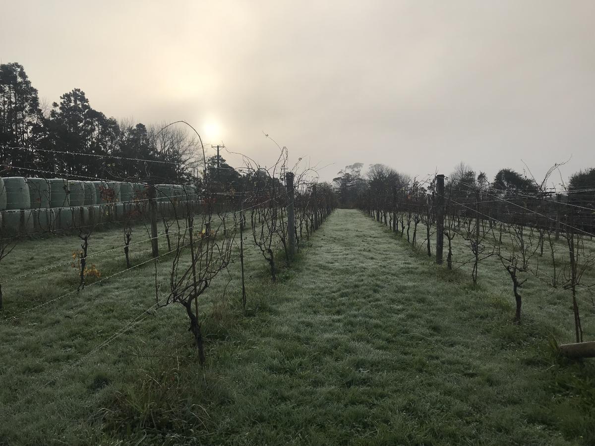 Vineyard Cottages - Kumeu Waimauku Zewnętrze zdjęcie